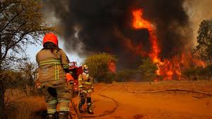 Prevención de Incendios forestales